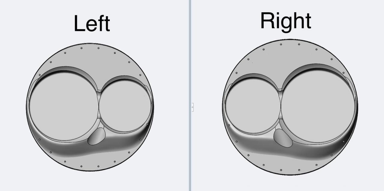 left vs right 